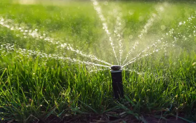 Irrigação por microaspersão