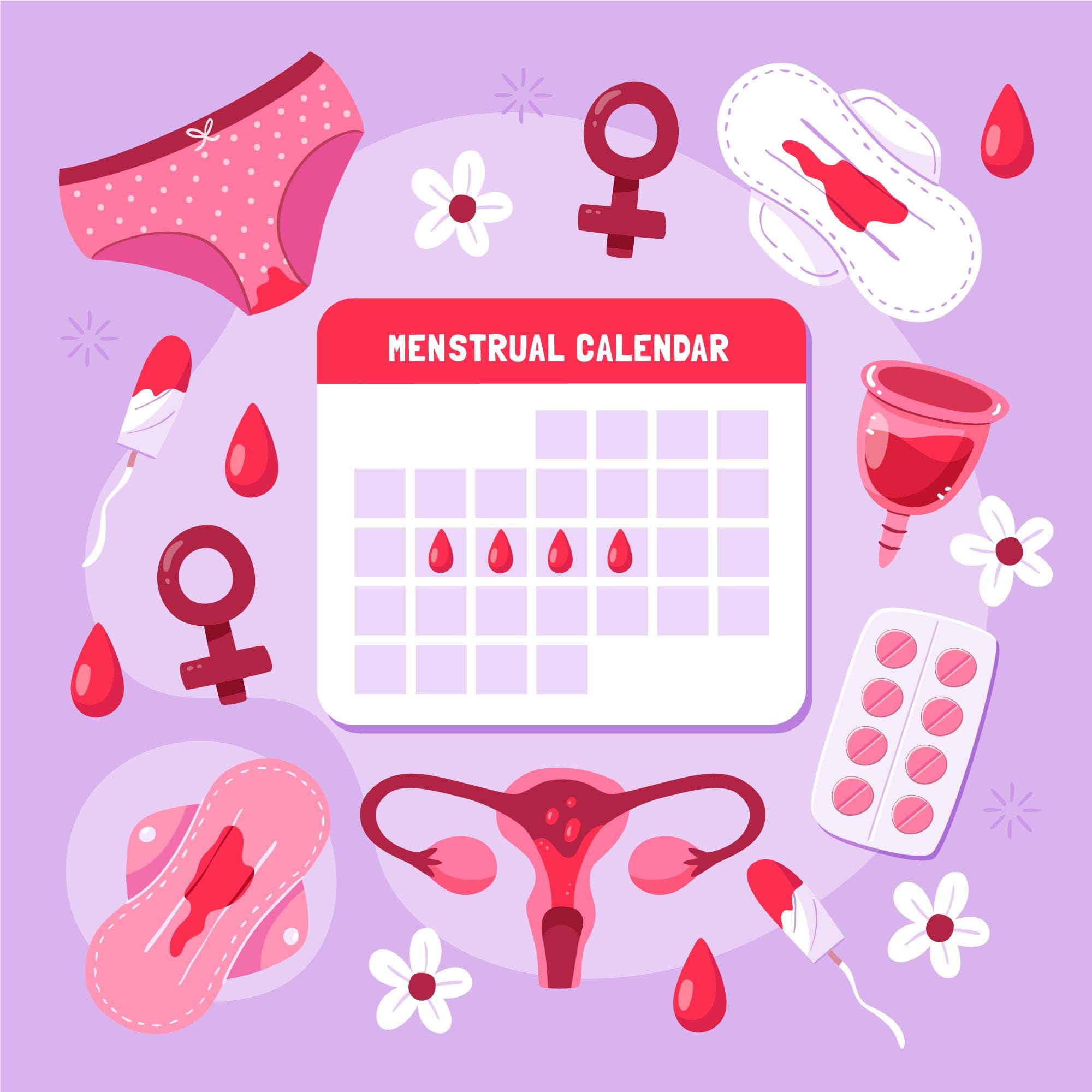 Calendário Menstrual