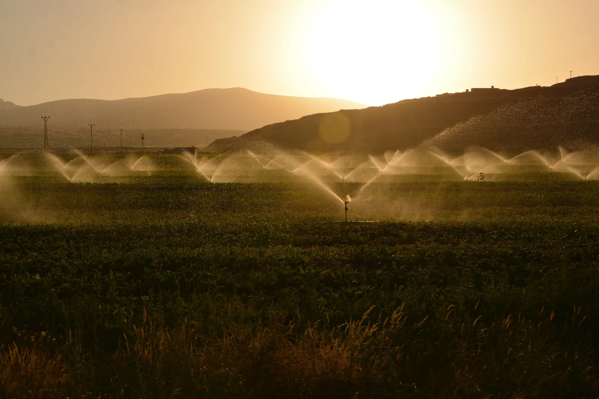 Técnicas de irrigação eficientes para economia de água na agricultura