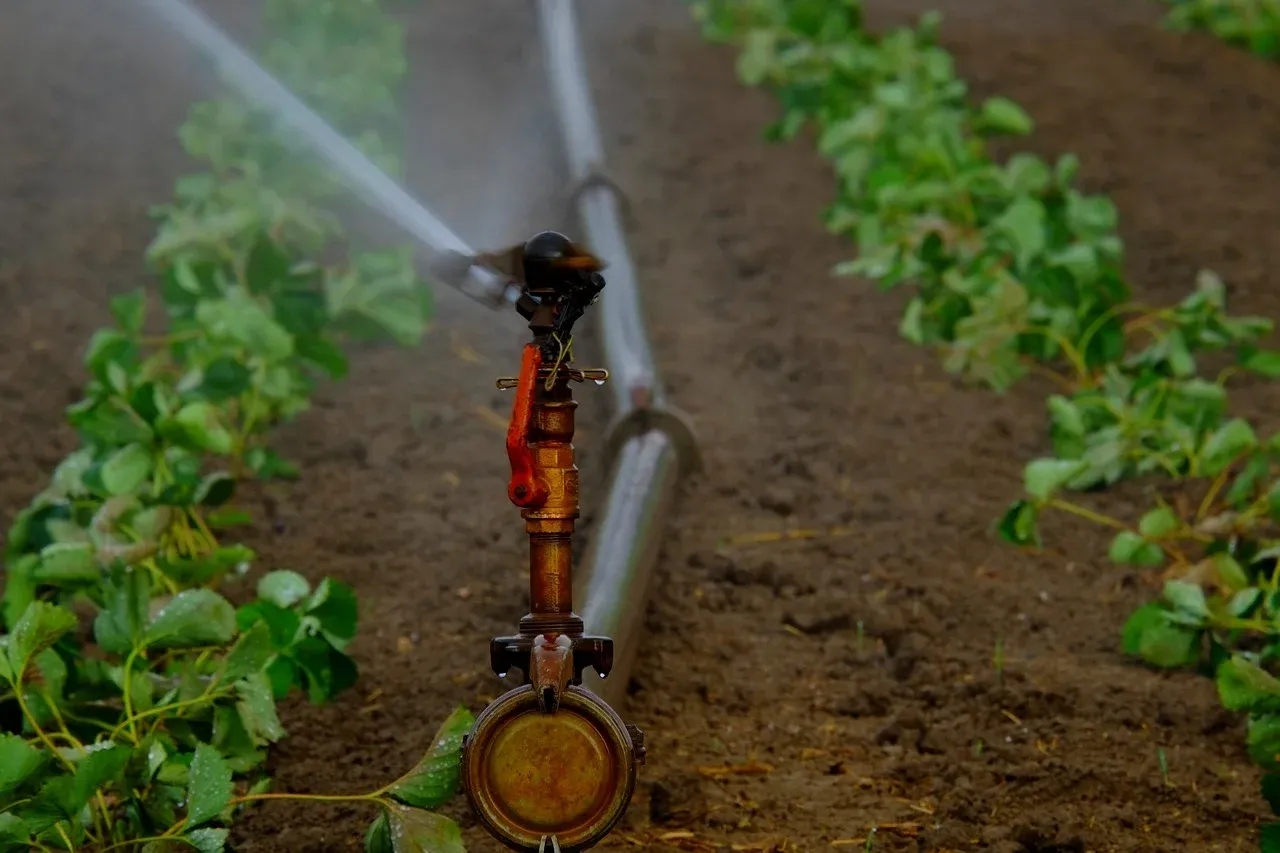 O que é e como funciona a irrigação por microaspersão