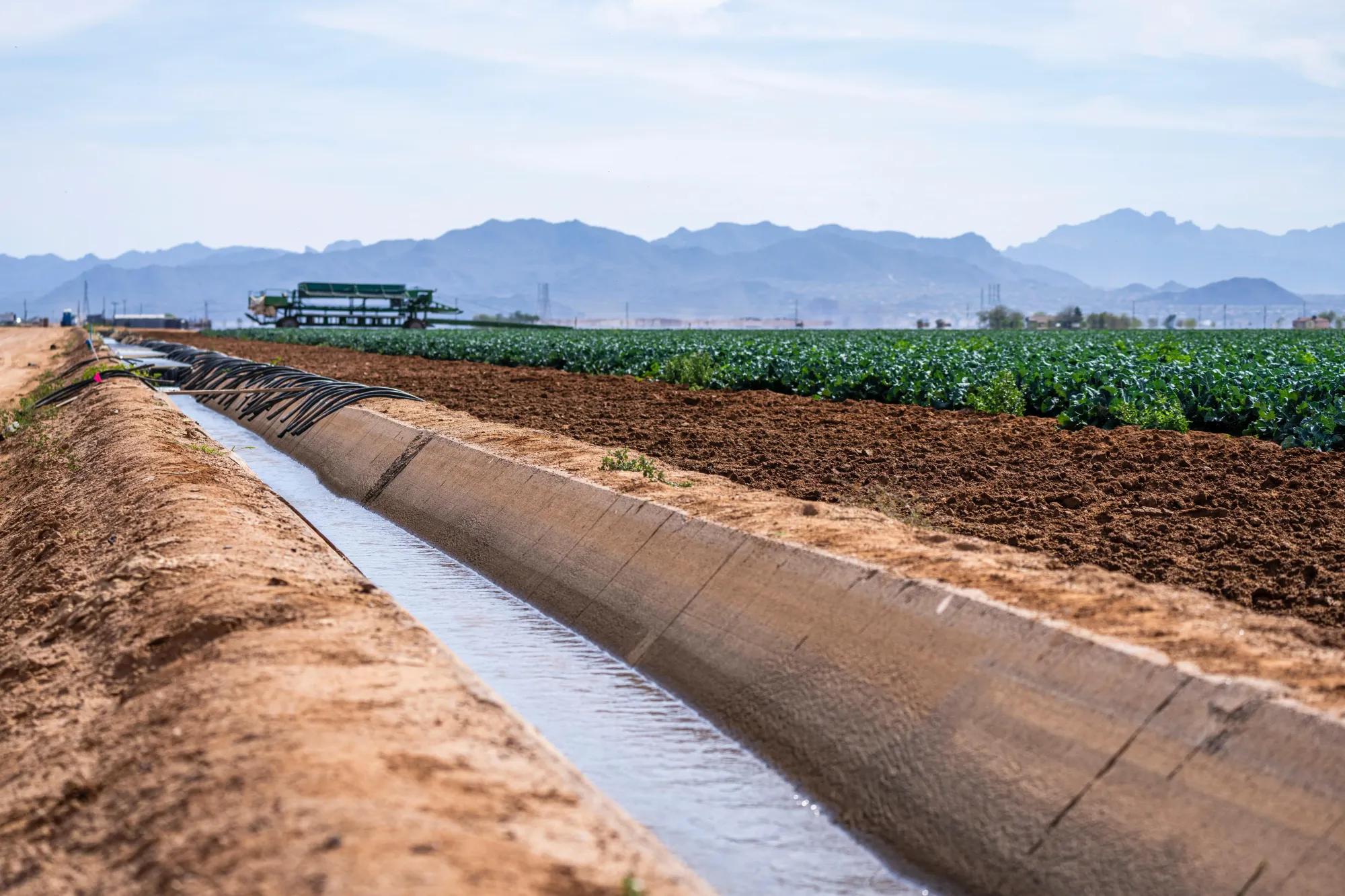 O que é irrigação subsuperficial e como funciona