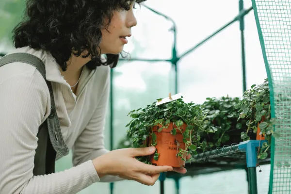 Mulher plantando