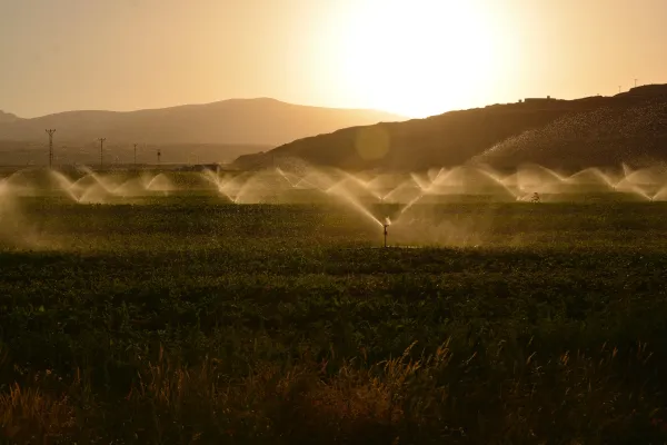 Técnicas de irrigação eficientes para economia de água na agricultura