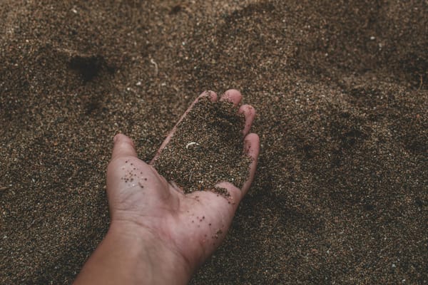 O papel do húmus na fertilidade de diferentes tipos de solo